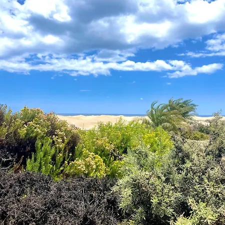 Moon Dunes - By Yumbo Center - * Πλάγια ντελ Ινγκλές